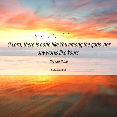 Picture 06 - Psalm 86:8 BSB - O Lord, there is none like You among the gods, - Bible Verse Picture