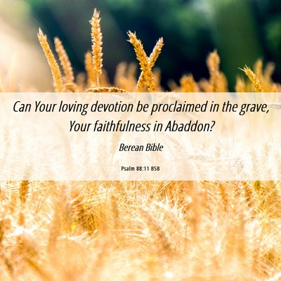 Picture 06 - Psalm 88:11 BSB - Can Your loving devotion be proclaimed in the - Bible Verse Picture