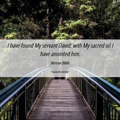 Picture 06 - Psalm 89:20 BSB - I have found My servant David; with My sacred oil - Bible Verse Picture