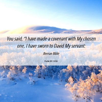 Picture 06 - Psalm 89:3 BSB - You said, “I have made a covenant with My - Bible Verse Picture