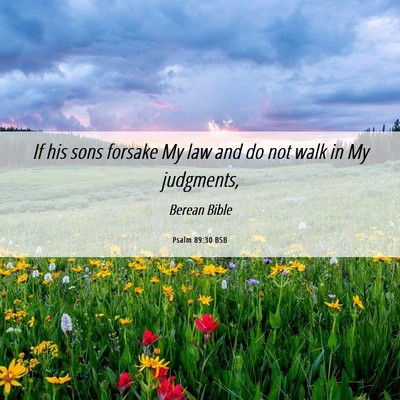 Picture 06 - Psalm 89:30 BSB - If his sons forsake My law and do not walk in My - Bible Verse Picture
