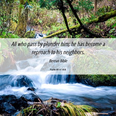 Picture 06 - Psalm 89:41 BSB - All who pass by plunder him; he has become a - Bible Verse Picture