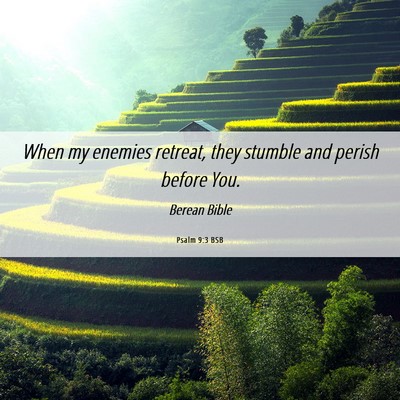 Picture 06 - Psalm 9:3 BSB - When my enemies retreat, they stumble and perish - Bible Verse Picture