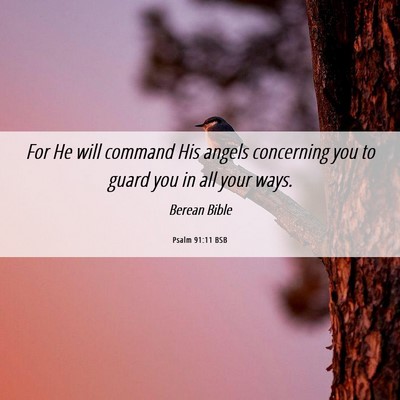 Picture 06 - Psalm 91:11 BSB - For He will command His angels concerning you to - Bible Verse Picture