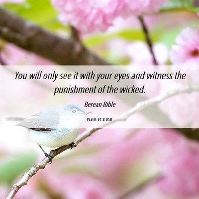 Picture 06 - Psalm 91:8 BSB - You will only see it with your eyes and witness - Bible Verse Picture