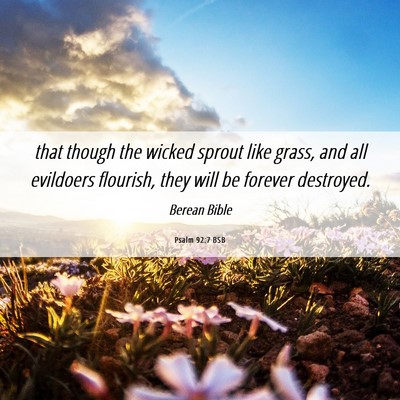 Picture 06 - Psalm 92:7 BSB - that though the wicked sprout like grass, and all - Bible Verse Picture