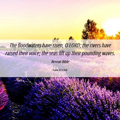 Picture 06 - Psalm 93:3 BSB - The floodwaters have risen, O LORD; the rivers - Bible Verse Picture