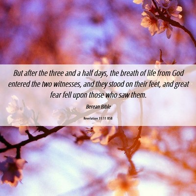 Picture 06 - Revelation 11:11 BSB - But after the three and a half days, the breath - Bible Verse Picture