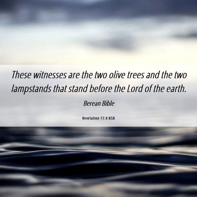 Picture 06 - Revelation 11:4 BSB - These witnesses are the two olive trees and the - Bible Verse Picture