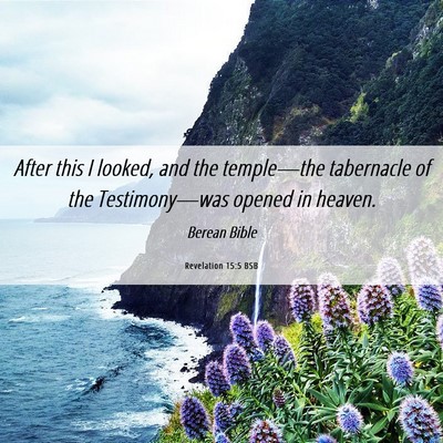 Picture 06 - Revelation 15:5 BSB - After this I looked, and the temple—the - Bible Verse Picture