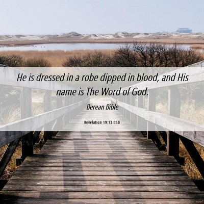 Picture 06 - Revelation 19:13 BSB - He is dressed in a robe dipped in blood, and His - Bible Verse Picture