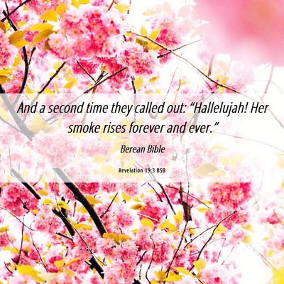 Picture 06 - Revelation 19:3 BSB - And a second time they called out: “Hallelujah! - Bible Verse Picture