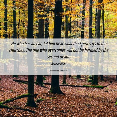 Picture 06 - Revelation 2:11 BSB - He who has an ear, let him hear what the Spirit - Bible Verse Picture