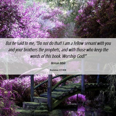 Picture 06 - Revelation 22:9 BSB - But he said to me, “Do not do that! I am a - Bible Verse Picture