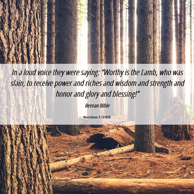 Picture 06 - Revelation 5:12 BSB - In a loud voice they were saying: “Worthy is - Bible Verse Picture