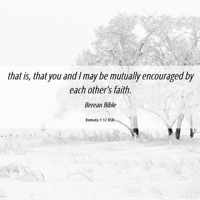 Picture 06 - Romans 1:12 BSB - that is, that you and I may be mutually - Bible Verse Picture