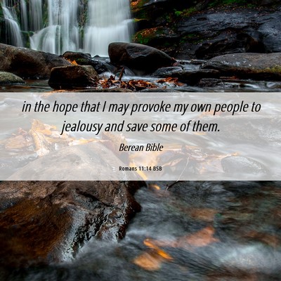 Picture 06 - Romans 11:14 BSB - in the hope that I may provoke my own people to - Bible Verse Picture