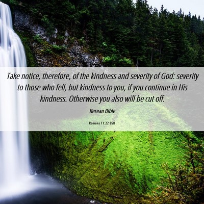 Picture 06 - Romans 11:22 BSB - Take notice, therefore, of the kindness and - Bible Verse Picture