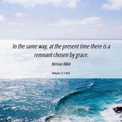 Picture 06 - Romans 11:5 BSB - In the same way, at the present time there is a - Bible Verse Picture