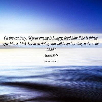 Picture 06 - Romans 12:20 BSB - On the contrary, “If your enemy is hungry, feed - Bible Verse Picture