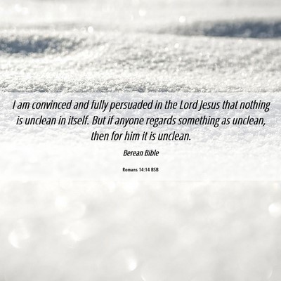 Picture 06 - Romans 14:14 BSB - I am convinced and fully persuaded in the Lord - Bible Verse Picture