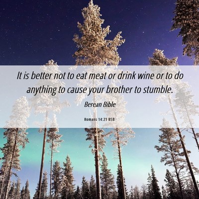 Picture 06 - Romans 14:21 BSB - It is better not to eat meat or drink wine or to - Bible Verse Picture