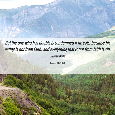Picture 06 - Romans 14:23 BSB - But the one who has doubts is condemned if he - Bible Verse Picture
