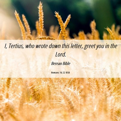 Picture 06 - Romans 16:22 BSB - I, Tertius, who wrote down this letter, greet you - Bible Verse Picture