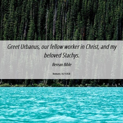 Picture 06 - Romans 16:9 BSB - Greet Urbanus, our fellow worker in Christ, and - Bible Verse Picture