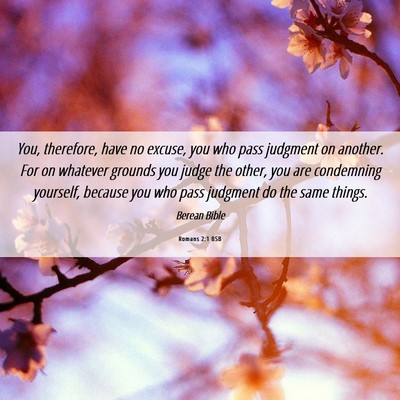 Picture 06 - Romans 2:1 BSB - You, therefore, have no excuse, you who pass - Bible Verse Picture