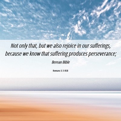 Picture 06 - Romans 5:3 BSB - Not only that, but we also rejoice in our - Bible Verse Picture