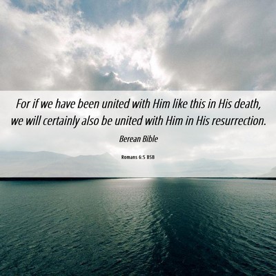 Picture 06 - Romans 6:5 BSB - For if we have been united with Him like this in - Bible Verse Picture