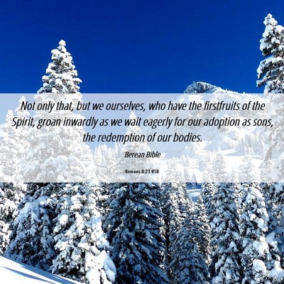 Picture 06 - Romans 8:23 BSB - Not only that, but we ourselves, who have the - Bible Verse Picture