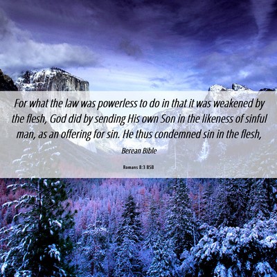 Picture 06 - Romans 8:3 BSB - For what the law was powerless to do in that it - Bible Verse Picture
