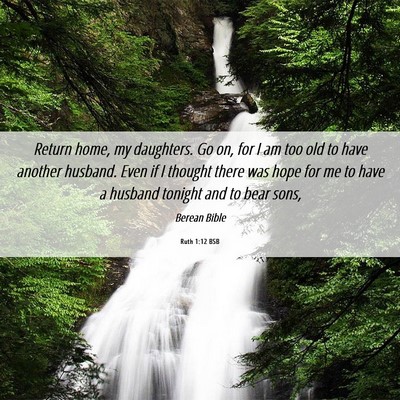 Picture 06 - Ruth 1:12 BSB - Return home, my daughters. Go on, for I am too - Bible Verse Picture