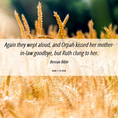 Picture 06 - Ruth 1:14 BSB - Again they wept aloud, and Orpah kissed her - Bible Verse Picture