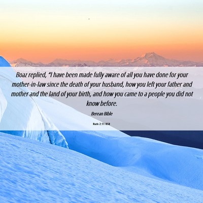 Picture 06 - Ruth 2:11 BSB - Boaz replied, “I have been made fully aware of - Bible Verse Picture