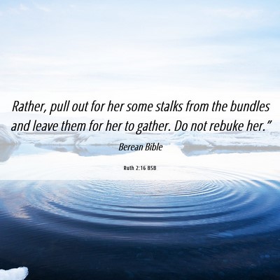 Picture 06 - Ruth 2:16 BSB - Rather, pull out for her some stalks from the - Bible Verse Picture