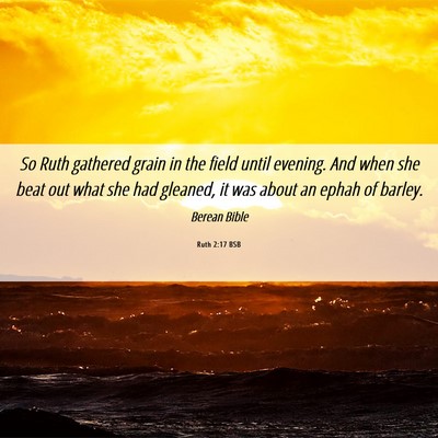 Picture 06 - Ruth 2:17 BSB - So Ruth gathered grain in the field until - Bible Verse Picture