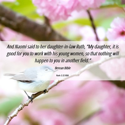 Picture 06 - Ruth 2:22 BSB - And Naomi said to her daughter-in-law Ruth, “My - Bible Verse Picture