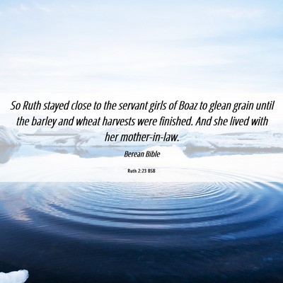 Picture 06 - Ruth 2:23 BSB - So Ruth stayed close to the servant girls of Boaz - Bible Verse Picture
