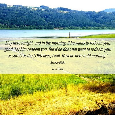 Picture 06 - Ruth 3:13 BSB - Stay here tonight, and in the morning, if he - Bible Verse Picture