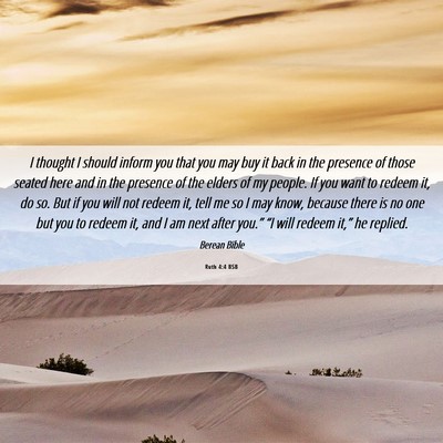 Picture 06 - Ruth 4:4 BSB - I thought I should inform you that you may buy it - Bible Verse Picture