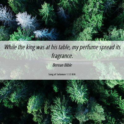 Picture 06 - Song of Solomon 1:12 BSB - While the king was at his table, my perfume - Bible Verse Picture
