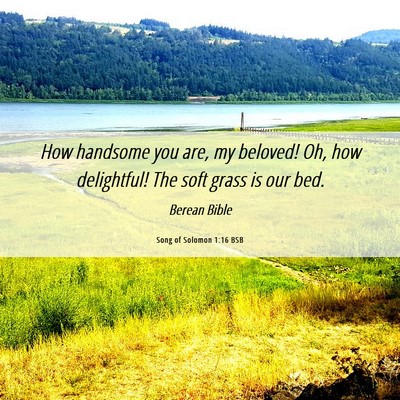 Picture 06 - Song of Solomon 1:16 BSB - How handsome you are, my beloved! Oh, how - Bible Verse Picture