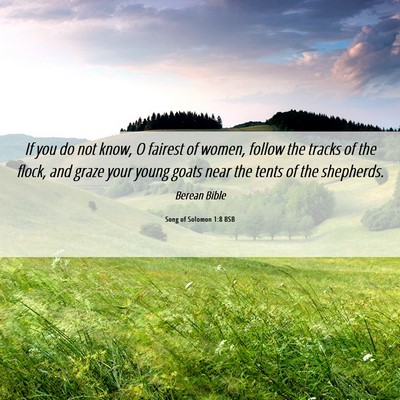 Picture 06 - Song of Solomon 1:8 BSB - If you do not know, O fairest of women, follow - Bible Verse Picture