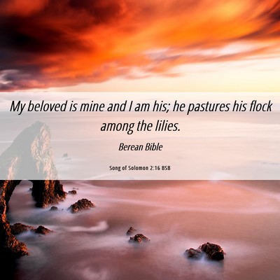 Picture 06 - Song of Solomon 2:16 BSB - My beloved is mine and I am his; he pastures his - Bible Verse Picture