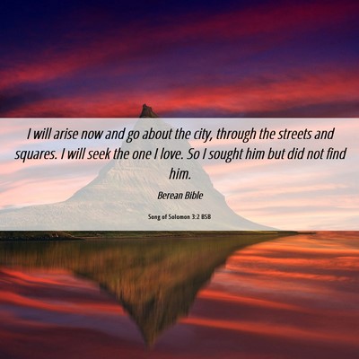 Picture 06 - Song of Solomon 3:2 BSB - I will arise now and go about the city, through - Bible Verse Picture