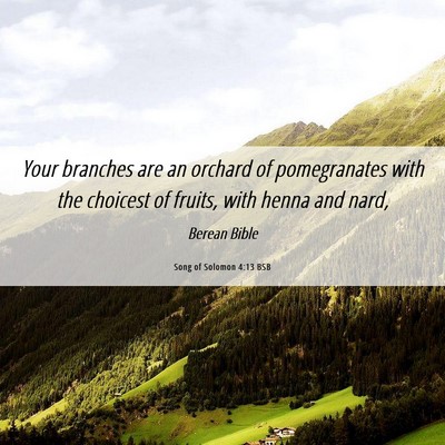 Picture 06 - Song of Solomon 4:13 BSB - Your branches are an orchard of pomegranates with - Bible Verse Picture