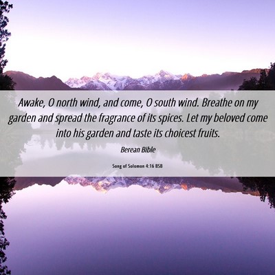Picture 06 - Song of Solomon 4:16 BSB - Awake, O north wind, and come, O south wind. - Bible Verse Picture